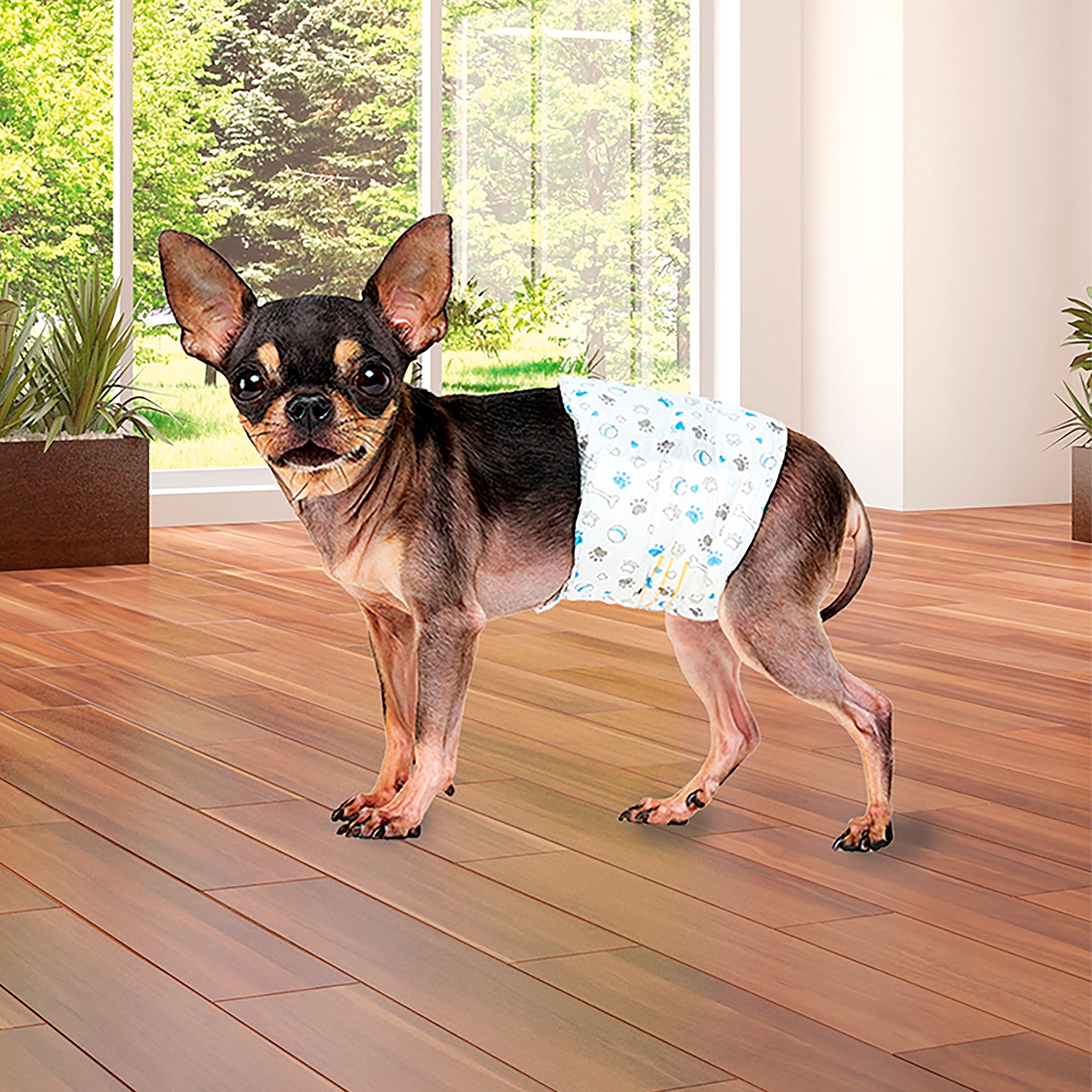 (4 pack) Vibrant Life Disposable Dog Wraps for Male Dogs, L 12 Count