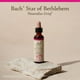 thumbnail image 5 of Esencia floral Bach Original Star of Bethlehem, 20 ml, 5 of 6