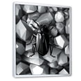 thumbnail image 2 of Designart "Rocks and Bugs in Black and Grey I" Animals Framed Wall Art - Modern Grey Insects & Bugs Bedroom Framed Canvas Wall Art, 2 of 6