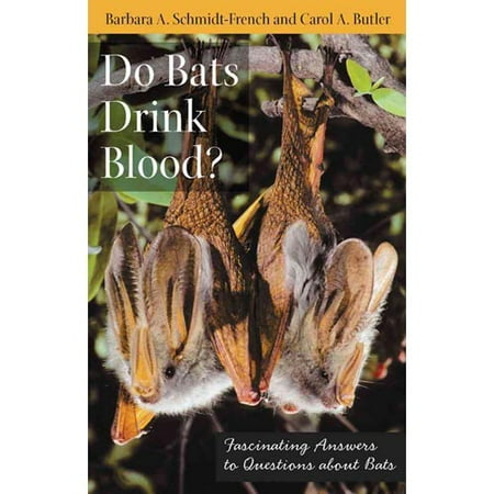 Do Bats Drink Blood Fascinating Answers To Questions