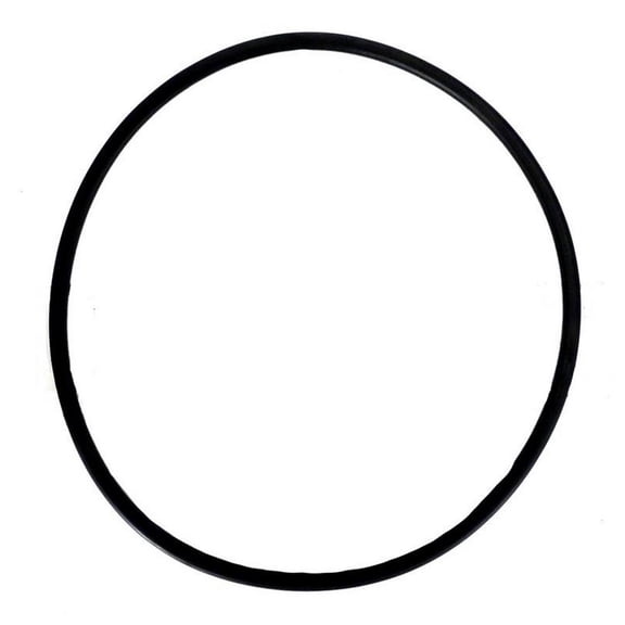 Astral AST4404080101 O-Ring for Millenium Side Mount Sand Filter Parts