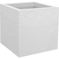 thumbnail image 1 of White Flower Pot, 1 of 3
