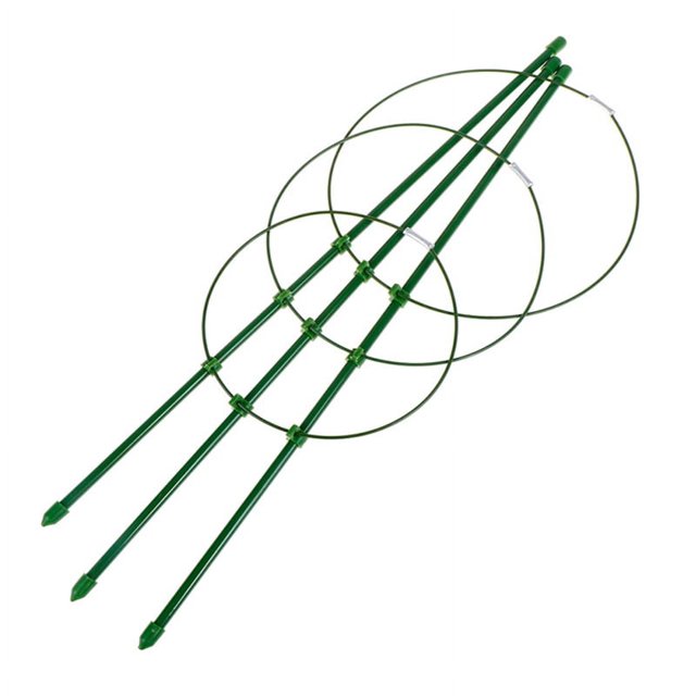 Soporte para flores de vid trepadora para plantas, tubo de fibra de vidrio, anillo de hierro, Pilar, Luna, temporada de flores