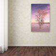 thumbnail image 3 of Trademark Fine Art 'Hidden Gems' Canvas Art by Philippe Sainte-Laudy, 3 of 3