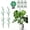 28''- 4 Pack, variant on Monstera  Support Stakes, 4 Pack Stackable Garden Trellis Climbing  Support Structures with Extension Poles for Indoor Outdoor Potted (28''- 4 Pack)