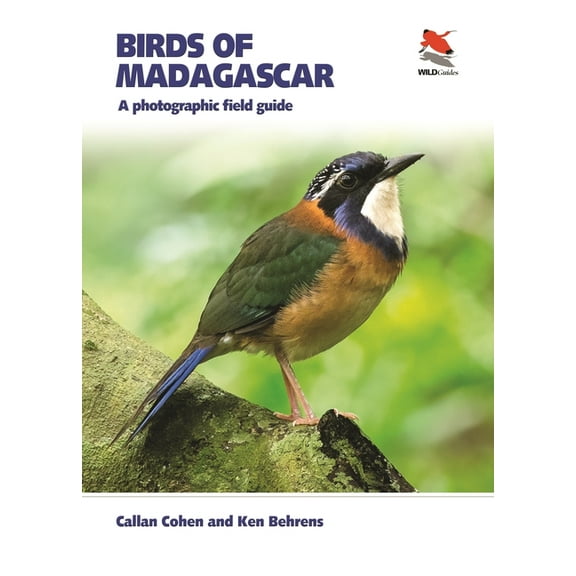 Wildguides Birds of Madagascar: A Photographic Field Guide, (Paperback)