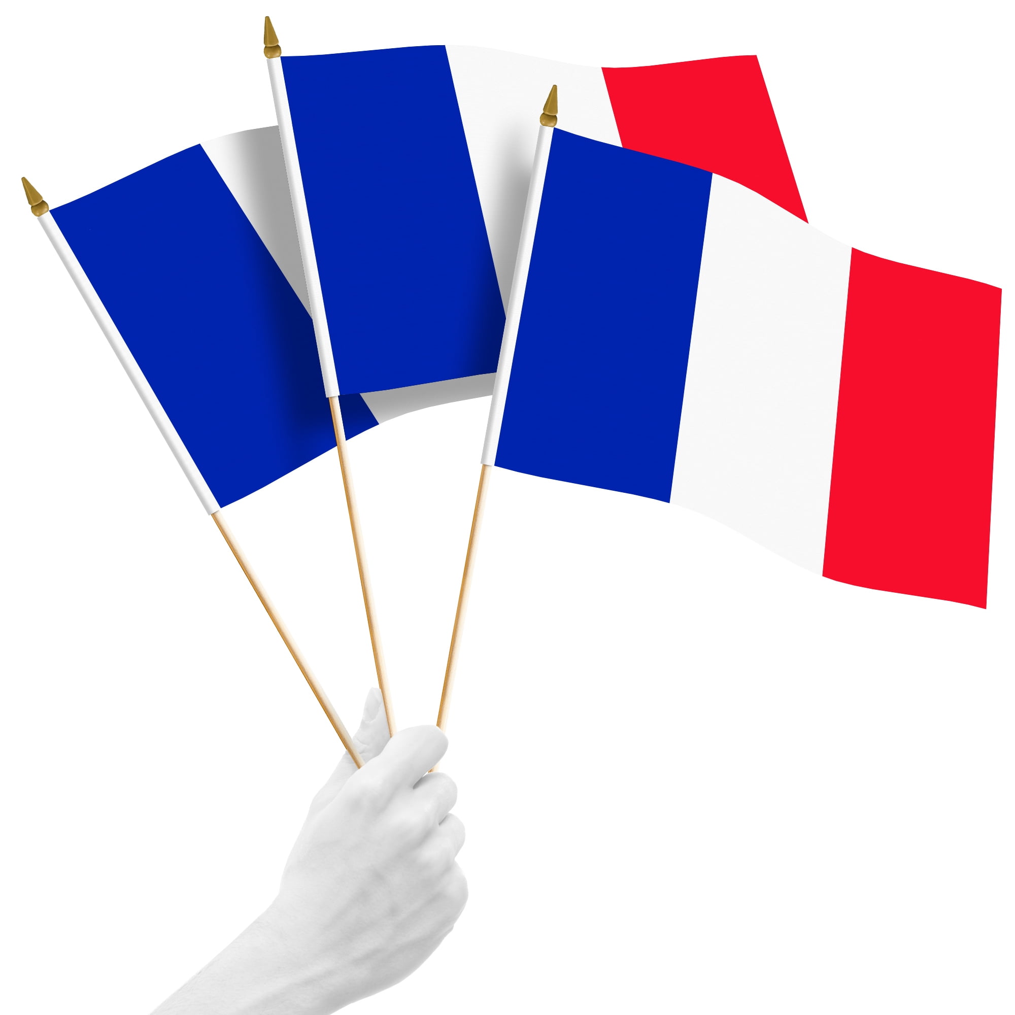 G128 24 Pack Handheld France French Stick Flags 12x18 In Printed