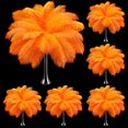thumbnail image 1 of Plumas de Avestruz Berlune 150 Piezas Naturales 30-35 cm Naranja, 1 of 6
