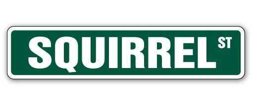 SQUIRREL Street Sign xing crossing nuts roadkill hunt 18/" Wide Indoor//Outdoor