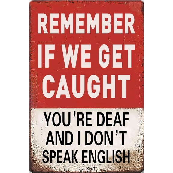 "Remember If We Get Caught" Funny Metal Tin Sign, Sarcastic Man Cave Decor & Bedroom Wall Art, Retro Garage Post Sign, Novelty Gift for Men and Boys, 12" x 8"