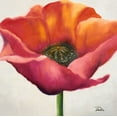 thumbnail image 2 of Pinto, Patricia 20x20 White Modern Wood Framed Museum Art Print Titled - Poppy Flower I, 2 of 4