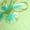 Limeade, variant on Blue Dolphin Triangle Bikini Swim Top, Women's XXS-XXL