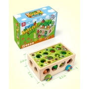 Coogam Montessori Fine Motor Toys for Baby Toddler, Wooden Shape Sorter Carrot Harvest Game for 2 3 4 Year Old