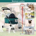 thumbnail image 5 of Bestpet Posh Pet Stroller by BestPet, Teal, 5 of 5