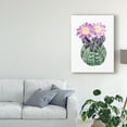 thumbnail image 3 of Trademark Fine Art 'Cactus Bloom IV' Canvas Art by Grace Popp, 3 of 4