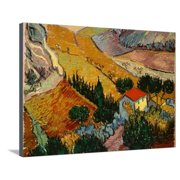 Vincent Van Gogh Canvases