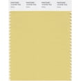 thumbnail image 1 of PANTONE SMART 13-0725X Carte d'Échantillon de Couleur, Raphia, 1 of 5