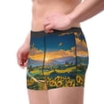 thumbnail image 2 of Susaid Sunflowers At Sunset Print Men's Mesh Boxer Briefs Cooling Breathable Sports Underwear Wide Waistband Boxer Briefs W/Fly-Small, 2 of 5