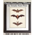 thumbnail image 6 of Vintage Bat Painting - 11x14 Unframed Art Print - Great Biology Lab Decor or Gift for People Who are Fascinated with Bats, 6 of 6