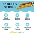 thumbnail image 2 of HotSpot Pets All Natural Bully Sticks, 6 Inch - 30 Pack, Long Lasting Dog Chews, 100% Beef Treat, 2 of 8
