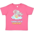 thumbnail image 3 of Inktastic Grandma's Ray of Sunshine Cute Elephants Rainclouds and Sun Boys or Girls Toddler T-Shirt, 3 of 5