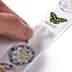 thumbnail image 4 of 2 rollos de 8 diseños de mariposas, pegatinas de papel autoadhesivas redondas con puntos, insectos, calcomanías de agradecimiento para regalos, 4 of 4
