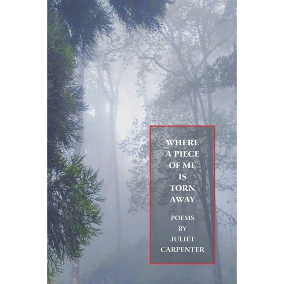 Where a Piece of Me is Torn Away