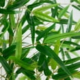 thumbnail image 3 of Nearly Natural 8ft. Artificial Green Bamboo Tree, 3 of 6