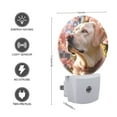 thumbnail image 3 of Night Light Plug into Wall,Dusk to Dawn Sensor Auto-On/Off for Bathroom, Hallway,Kids Room-Cream Labrador Retriever With Brown Eyes, 3 of 4