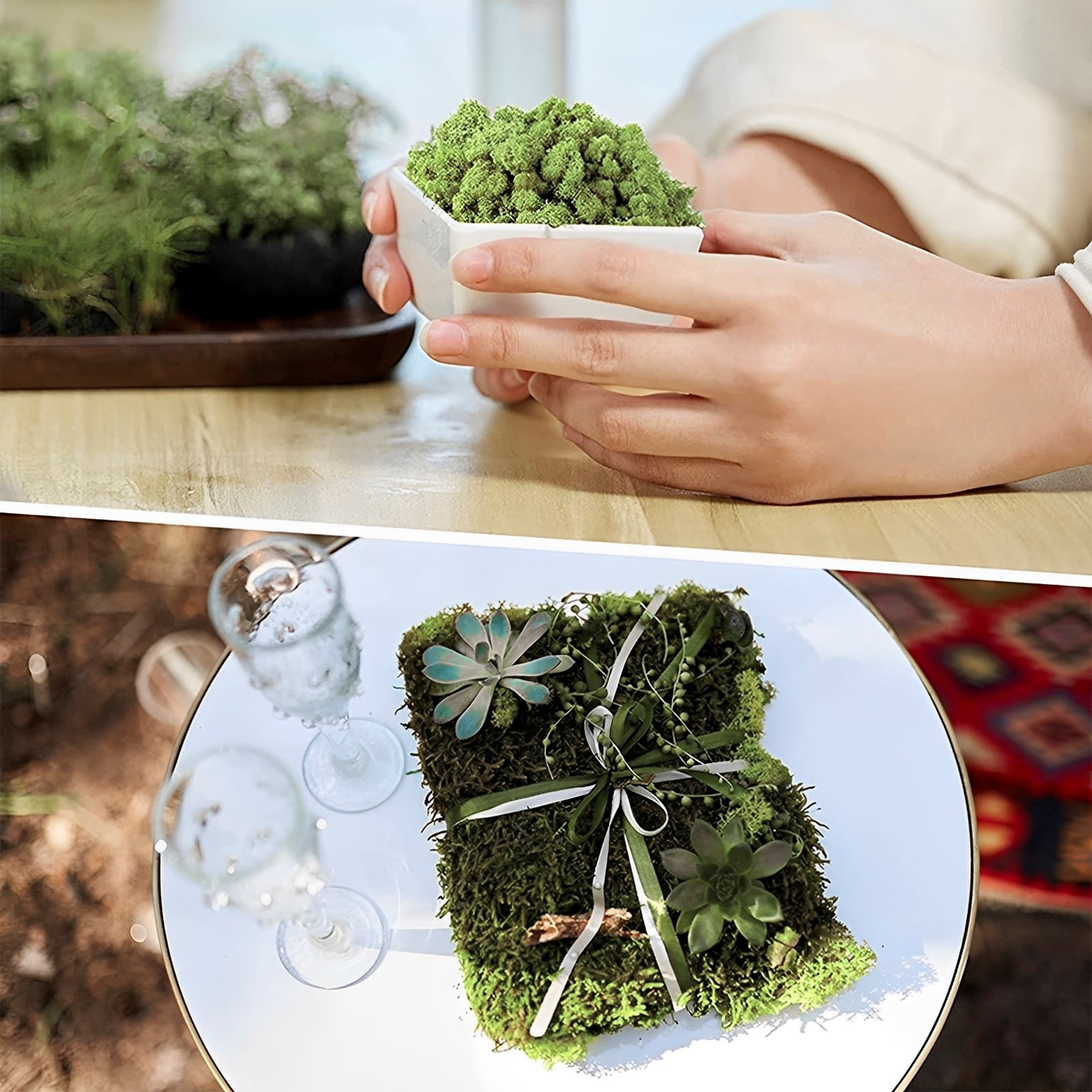  TAIKUU 久の物 2 sq. ft Preserved Moss Pillow Moss, Moss for Potted  Plants, Artificial Fake Moss for Fake Plants Indoor, Moss Balls Decor Moss  Crafts Terrariums (Chartreuse) : Arts, Crafts 
