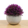 thumbnail image 2 of 4 paquetes de plantas falsas pequeñas plantas artificiales en maceta para el hogar, oficina, granja, baño, decoración interior, 2 of 5