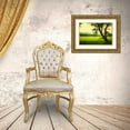 thumbnail image 3 of Head, Danny 24x17 Gold Ornate Wood Framed with Double Matting Museum Art Print Titled - Morning at the Cove I, 3 of 4