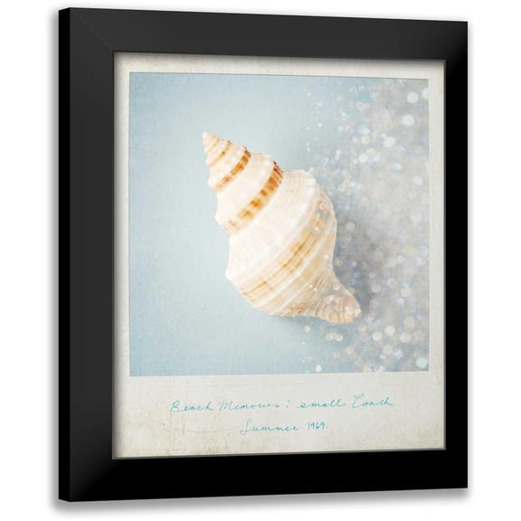 Susannah Tucker Photography 12x14 Black Modern Framed Museum Art Print Titled - Beach Memories Small Conch