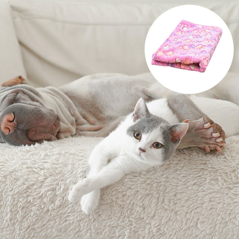 Small fleece pet blanket new arrivals