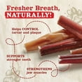 Natural Farm OdorFree Bully Sticks (6 Inch, 20 Pack), 100 Beef Chews