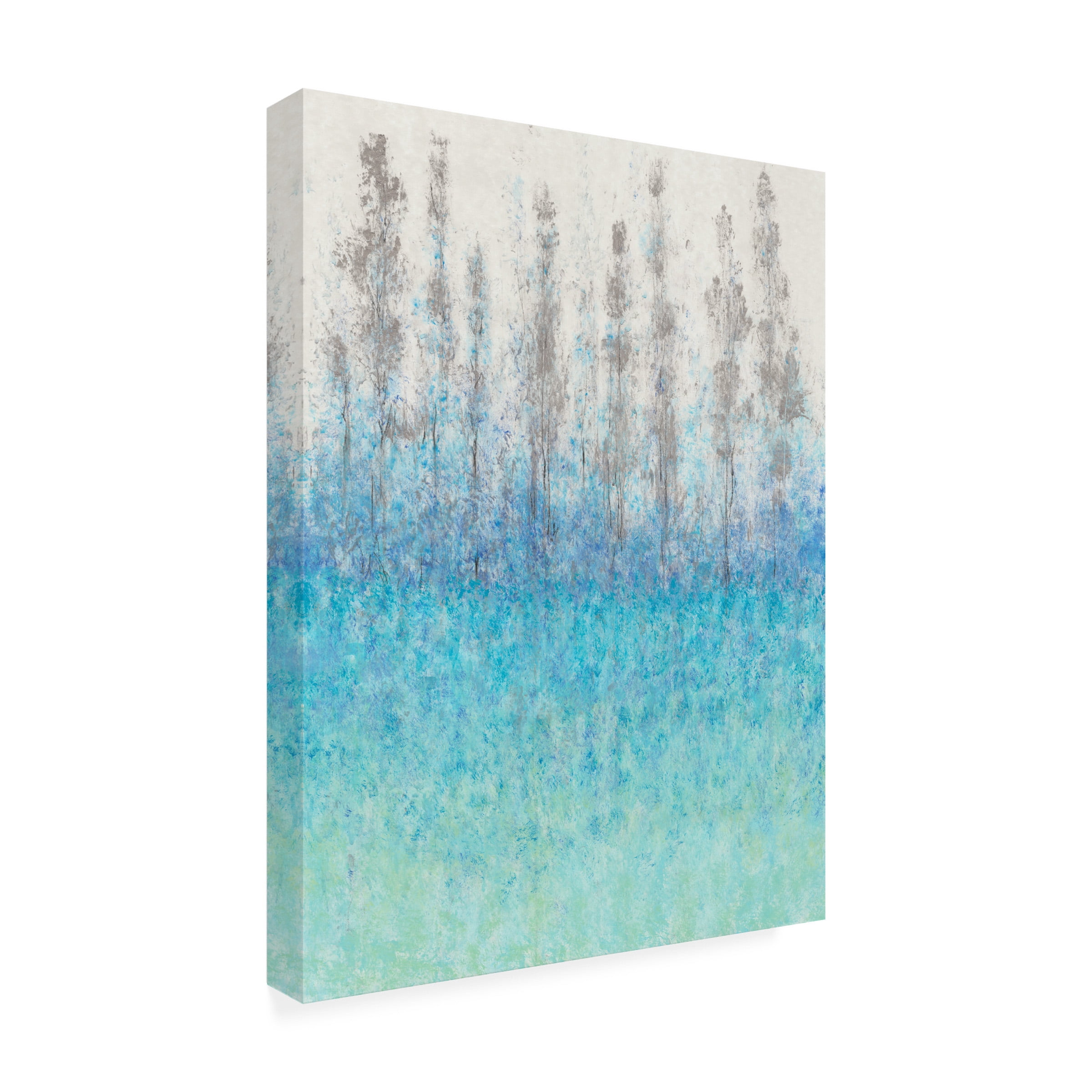 Tim O'Toole 'Cypress Border I' Canvas Art