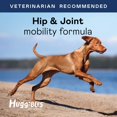 thumbnail image 4 of Supplement Huggibles, soporte para caderas y articulaciones para perros, masticable, 4 of 7
