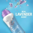 thumbnail image 3 of Secret Dry Spray Deodorant Antiperspirant for Women, 48hr Weightless Sweat & Odor Protection, Gentle on Skin, Relaxing Lavender & Argan Oil Scent, 4.1 oz Pack of 3, 3 of 3