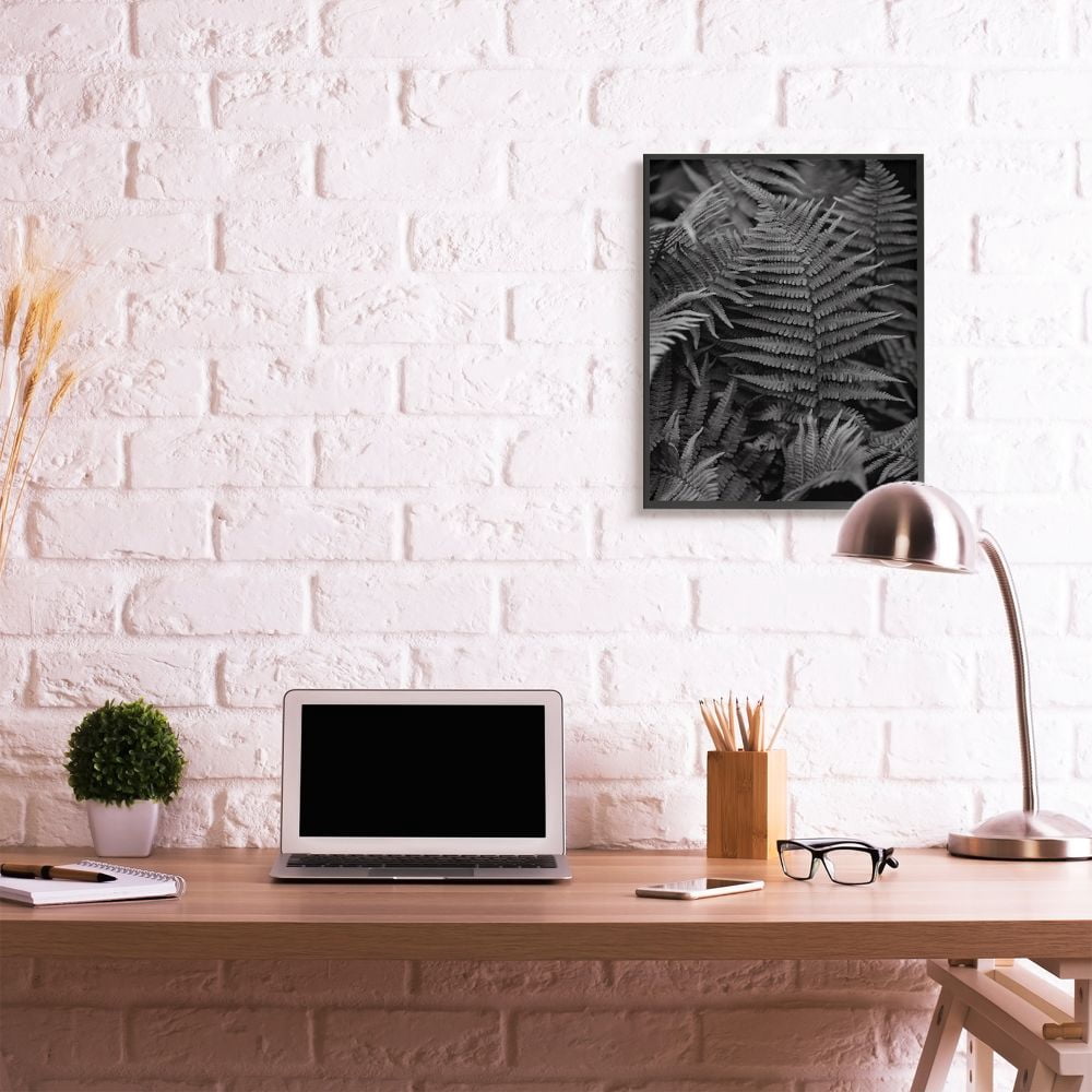 Stupell Industries Ferns in the Forest Black and White Photograph Designed by Unsplash