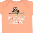 thumbnail image 4 of Inktastic My Grandma Loves Me Girls Girls Baby Bodysuit, 4 of 5