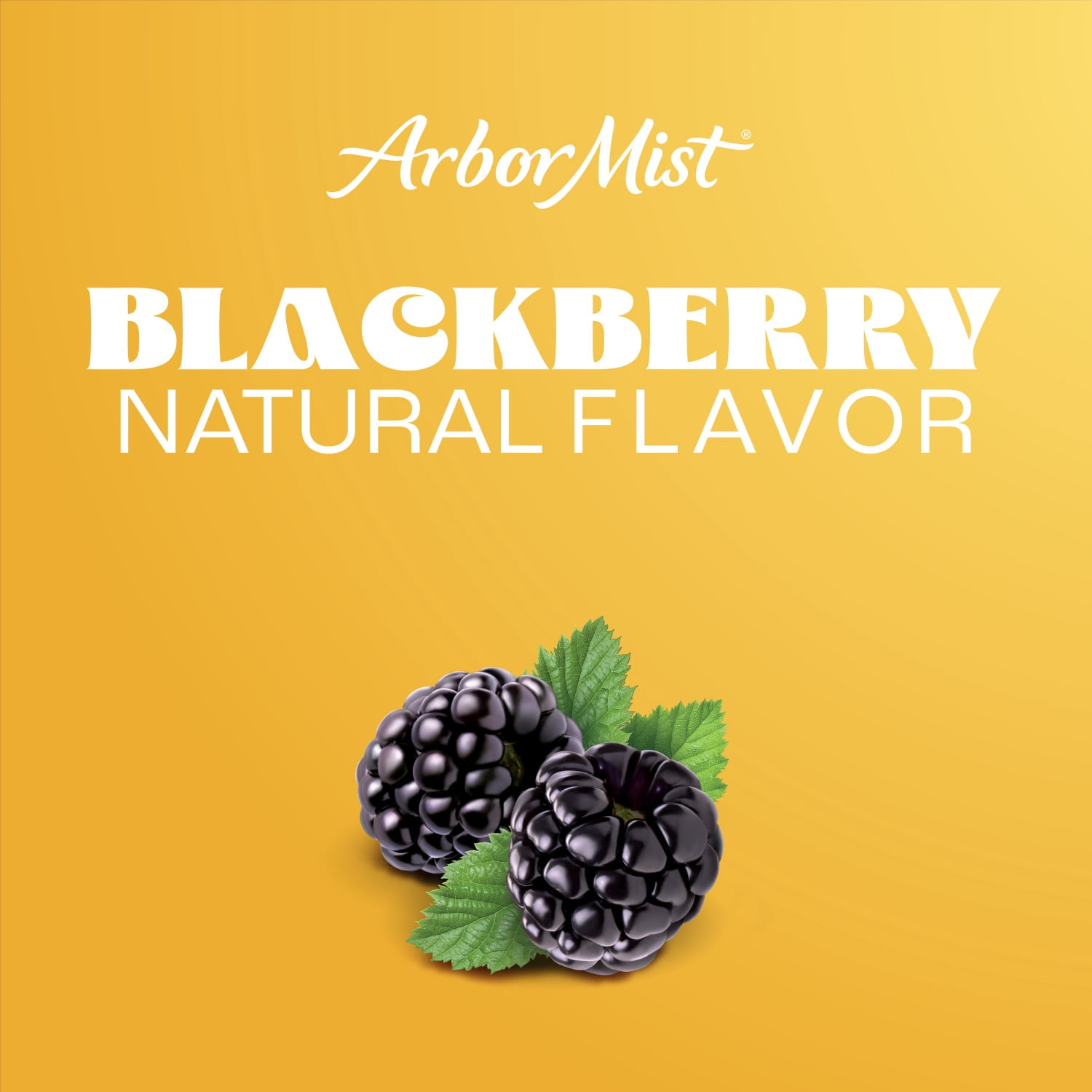 Arbor Mist Blackberry Merlot Sweet Red Fruit Wine, New York, 1.5L Glass Bottle, 6% ABV