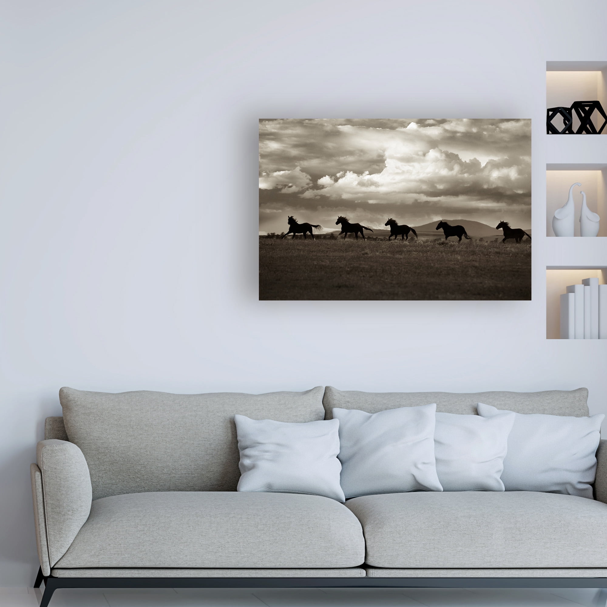 Trademark Fine Art 'Racing the Clouds' Canvas Art by Lisa Dearin