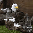 thumbnail image 6 of Pacific Giftware American Bald Sea Eagle Spiritual Realistic Decorative Glass Salt and Pepper Shakers Set with Resin Holder Stand, 6 of 6