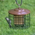 SquirrelX Squirrel Resistant Outdoor Hanging Bird Feeder, 2 Suet Cake