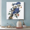 thumbnail image 3 of American Bird Artists John James Audubon Blue Jay Poster Posters Wall Art Painting Canvas Gift Living Room Prints Bedroom Decor Poster Artworks 16x16inch(40x40cm), 3 of 5