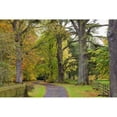 thumbnail image 2 of A Path Covered With Fallen Leaves And Trees In Autumn Colours; Scottish Borders Scotland Poster Print, 2 of 4