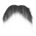 thumbnail image 1 of Accesorio de bigote simulado para fiesta de Halloween, accesorio de barba de bigote falso para cosplay, 1 of 7