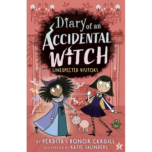Diary of an Accidental Witch Unexpected Visitors, (Paperback)