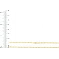 thumbnail image 3 of Floreo 10k Yellow Gold Solid Paperclip Chain Necklace, 3 of 5