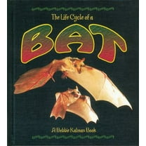 Pre-Owned Bat (Paperback) 0778707016 9780778707011